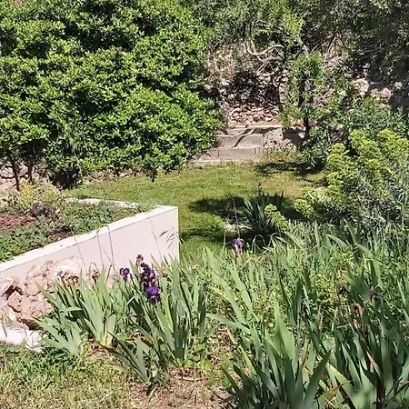 Maison Avec Jardin Sur Le Mont Saint Clair - Vue Et Etang Tatil Evi *